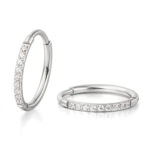 Limerencia Small Hoop Earrings for Women, Hypoallergenic Titanium Huggie Hoop... - Picture 1 of 7