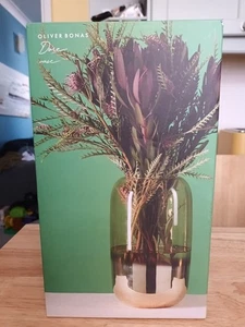 Oliver Bonas Dove Soda Lime Glass Metallic Silver/AmberClear Glass Vase - Picture 1 of 9