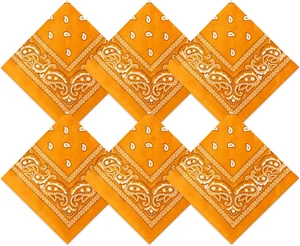 6 Pcs Neon Color Cowboy Bandanas for Men Women Assorted Paisley Pattern Handkerc - Picture 1 of 12