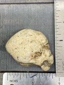 Natur Totenkopf Form Stein weiß Vintage - Bild 1 von 7