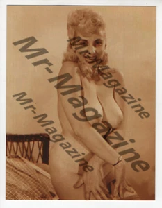 Risqué Sexy Cheesecake Pinup 4"x5" Donna "Busty" Braun Dessous Postkarte PE-64 - Bild 1 von 2