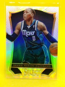 2013-14 Select SILVER PRIZM #20 Shawn Marion