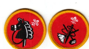 Boy Scout Badges CUB HOBBIES + HOME HELP Proficiency - Picture 1 of 1