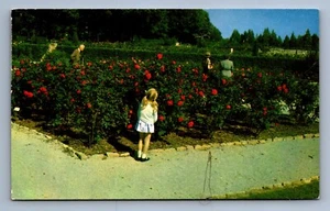 Postcard Vtg Oklahoma Tulsa Rose Garden Woodward Park Girl Pathway - Picture 1 of 2
