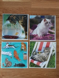 4 lustige Grußkarten zum Thema Katze - innen leer 16 cm quadratisch Noel Tatt /RSPCA - Bild 1 von 3