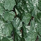 Artificial Green Outdoor Faux Plant Ivy Leaf Privacy Screen Fence Garden Yard Sp