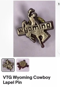 Wyoming Anstecknadeln 2er Set Brosche Vintage - Bild 1 von 1