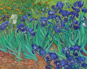 Irises | Vincent van Gogh | 1889 Post-Impressionism Art Print - Picture 1 of 9