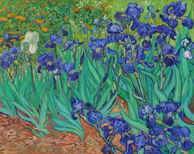 Irises | Vincent van Gogh | 1889 Post-Impressionism Art Print - Image 1 of 4