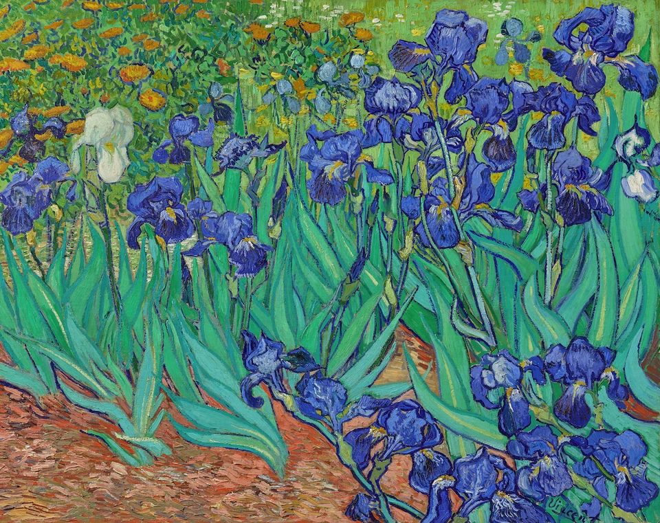 Irises | Vincent van Gogh | 1889 Post-Impressionism Art Print - Image 1 of 4