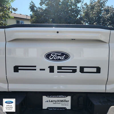 Se adapta a Ford F150 Pro Access 2024 portón trasero F-150 letras vinilo inserciones calcomanías Foto 1 de 4
