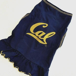 Sz M Cal Golden Bears Embroidered All Star Dogs Dog Dress Cheerdress California - Picture 1 of 5