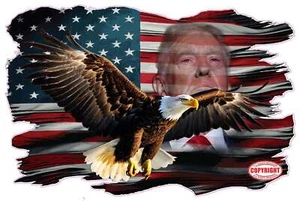 American flag grunge Bald Eagle Trump decal - Picture 1 of 8