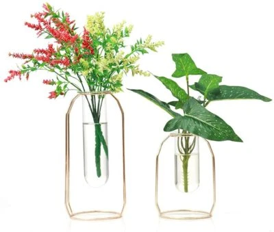 Reagenzglas Tischvase 2er Metal Blumenvase Tisch Deko Party Vase Modern Glasvase - Bild 1 von 3