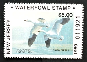 Estampilla de pato no residente de Nueva Jersey 1989, #NJ6A, $$$ debajo de la cara $$$$ - Imagen 1 de 2