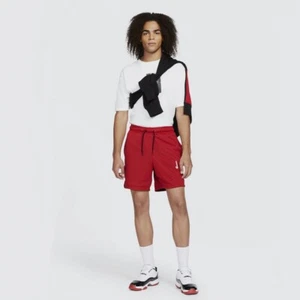 Jordan Jumpman Mesh Shorts. Brand New. Mens Size: Small - Picture 1 of 6