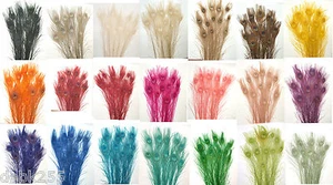 10 Peacock Feathers w/ Eyes 30-35" L Bleached & dyed Your choice of 21 colors - Picture 1 of 47