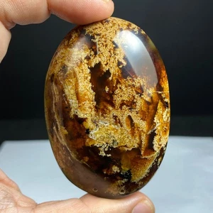 21 Gr Rare Collection Amber Indonesia Specimen Rough Crsystal - Polished - Picture 1 of 9