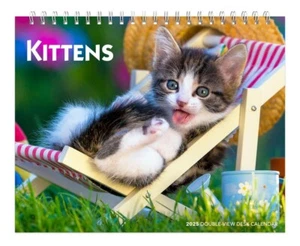 Kätzchen | 2025 7,5 x 6 Zoll monatlicher Doppelansicht Staffelei Schreibtischkalender - Bild 1 von 2