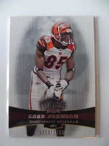 2006 Topps Triple Threads Chad Johnson 0554/1199 - Picture 1 of 1