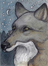 Night Wolf....Original ACEO by LISA FERGUSON