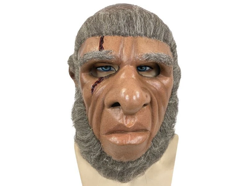 Frankenstein & The Monster From Hell Mask 1974 Replica - Image 1 of 4