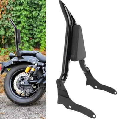 Respaldo de pasajero barra Sissy para Yamaha Bolt XV950 XVS950 C/R especificaciones 2013-2024 Foto 1 de 4