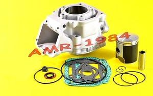 Cilindro Completo Aprilia Rs 125 Motor 122 Especial Nikasil + Pistón Grafitado - Imagen 1 de 1