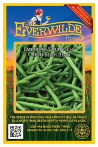 100 Landreth Stringless Green Bush Bean Seeds - Everwilde Farms Mylar Packet - Picture 1 of 3
