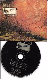 MAXI CD SINGLE COLLECTOR 2 TITRES MICHEL DELPECH LES VOIX DU BRÉSIL 1991 RARE ! - Picture 1 of 1