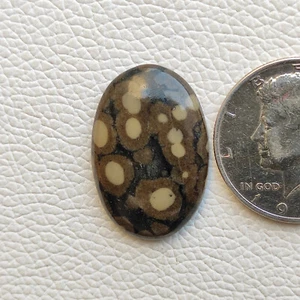 Designer Scapolite Mica Cabochon Orbicular Design Handicraft Gemstone R12355 AU - Picture 1 of 5