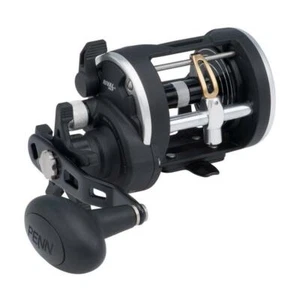 Carrete multiplicador Penn Rival Levelwind 30 aparejos de pesca en el mar - Imagen 1 de 1