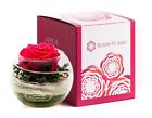 Rosen-Te-Amo, duftend konservierte ewig Rose pink in Glas-Vase - handgefertigt