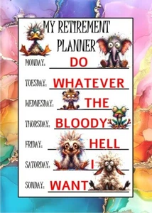 Funny Adult Retirement Card For Him or Her A5 Sized Card My Retirement Planner - Picture 1 of 4