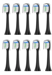 10 Pack Toothbrush Heads Only for Phniti Serial PT-BL006 / BL006 Black