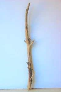 Madera flotante Driftwood 1 XL rama armario decoración 102 cm  - Imagen 1 de 12