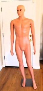 MANNEQUIN, adult male, PP, complete w/ rotating stand, arms rotate, used once! - Picture 1 of 11
