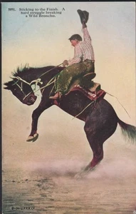 CANADA Postcard. Breaking a Wild Broncho, unused - Imagen 1 de 2
