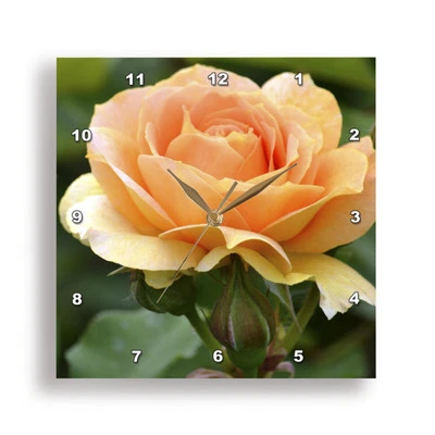 3dRose, Perfectly Peach - Romántica Flor Rosa - Estampado Floral, Reloj de Pared Foto 1 de 4