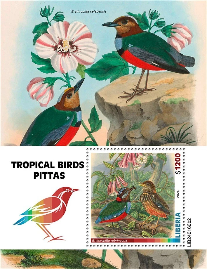Estampillas de aves tropicales Pittas MNH 2024 Liberia S/S Foto 1 de 1