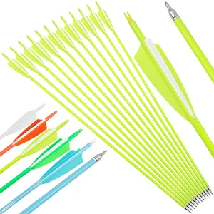 30" Archery Carbon Arrows Feathers SP500 600 Recurve Bow Target Hunting Shooting - Picture 1 of 17