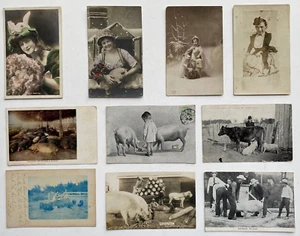 Postales antiguas humorísticas de cerdo - Gente con sus cerdos (10) - ¡Raras! - Imagen 1 de 4