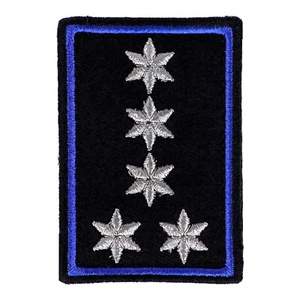 Insignia de servicio 5 estrellas plata + azul paspelado (Hesse) - Imagen 1 de 1