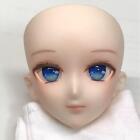 DD custom head only hobby toy parts collection semi-white