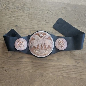 WWE Tag Team Champions Kids Wrestling Belt 2014 - Bild 1 von 6