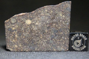 Northwest Africa 16101 L3 Meteorito Primitivo Condrita con Metal Visible 6.8g - Imagen 1 de 3