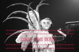 1. November 1974 Sänger ELTON JOHN live in concert FOTO - Bild 1 von 1