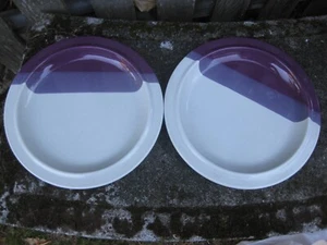 2 Dinner Plates Fabrik Pottery GRAPE Jim McBride Seattle Agate Pass - Picture 1 of 5