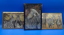 Special Moments Memories Collection Wall Art/ African Animals/ Zebra / Lot Of 3