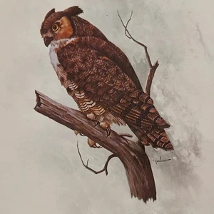 Impresión litográfica OWL marco de madera RAMBO vintage  - Imagen 1 de 11